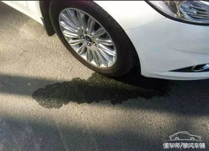 汽车泼水多少钱
